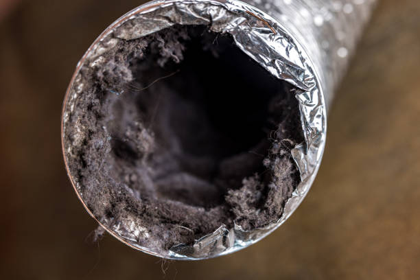 Best Air Duct Cleaning Near Me in Fort Carson, CO